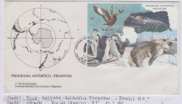 Brazil 1990 Proantar / Antarctica M/s FDC (59885) - FDC