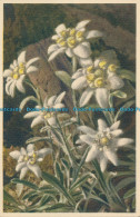 R010117 Edelweiss. Gyger. No 1698 - Monde