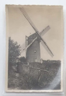 Carte Photo Moulin Le Zoute Et La Mère Siska - Knokke