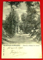 SINT GENESIUS RODE  - Chemin à Rhode-St-Genèse  -    1903    - - St-Genesius-Rode