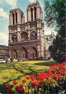 75 - Paris - Cathédrale Notre Dame - Fleurs - Automobiles - Carte Neuve - CPM - Voir Scans Recto-Verso - Notre-Dame De Paris