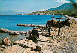 Grèce - Crète - Kríti - Elounta - Anes - Carte Neuve - CPM - Voir Scans Recto-Verso - Greece