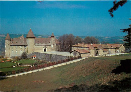 38 - Virieu Sur Bourbre - Le Château - Carte Neuve - CPM - Voir Scans Recto-Verso - Virieu