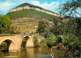 12 - Millau - Le Pont De Cureplat Et La Pountcho D'Agast - CPM - Voir Scans Recto-Verso - Millau