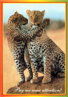 Animaux - Fauves - Léopard - African Wild Life - Carte à Message - CPM - Voir Scans Recto-Verso - Autres & Non Classés