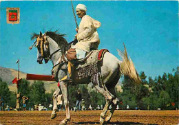Animaux - Chevaux - Maroc Typique - Cavalier Typique - CPM - Voir Scans Recto-Verso - Horses