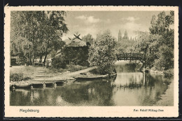 AK Magdeburg, Motiv Am Adolf-Mittag-See  - Magdeburg