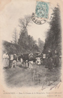 Avranches (50 - Manche) Dans Le Chemin De La Briqueterie , Vaches à L'abreuvoir - Avranches