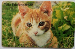 Sweden 30Mk. Chip Card - Kitten - Svezia