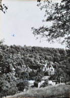 Abbaye De Saint Wandrille - Ruines De L'église - Other & Unclassified
