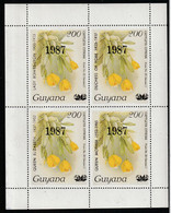 GUYANA - ORCHIDEES - N° ** (1987) Surchargés - Guiana (1966-...)