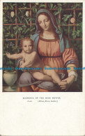 R046864 Madonna Of The Rose Bower. Medici - Monde