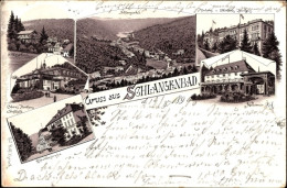 Lithographie Schlangenbad Hessen, Nassauer Hof, Kurhaus, Eltvillerstraße, Kurhaus, Trinkhalle,Schweizerhaus - Autres & Non Classés
