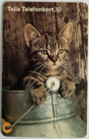 Sweden 30Mk. Chip Card - Kitty In A Churn - Cat In A Bottle - Sweden