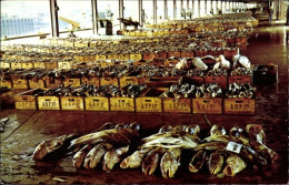 CPA Aberdeen Schottland, Blick Auf Einen Fischmarkt - Autres & Non Classés