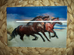 Pferd Horse Lenticular 3D Postkarte Postcard - Caballos