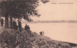 HAMME - Les Bords De L'Escaut - Hamme