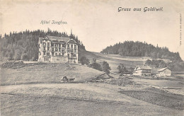 Schweiz - Goldiwil (BE ) Hôtel Jungfrau - Verlag H. Speiser  - Autres & Non Classés