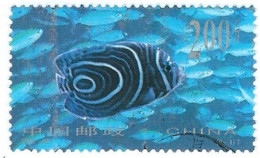 Chine, Cina 1998 ; Pesce, Fish Proveniente Da Un Foglietto " HOJITA IMPRESA" Used. - Fishes
