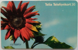 Sweden 30Mk. Chip Card - Red Flower - Svezia