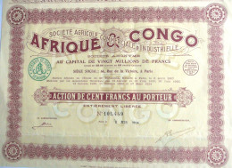 S.A. Afrique Et Congo - Action De 100 Fr Au Porteur (1924) - Africa
