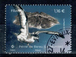 2023 PETREL DE BARAU OBLITERE CACHET ROND #234# - Used Stamps
