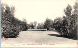 51 BIGNICOURT-sur-SAULX - Le Parc Du Château  - Other & Unclassified