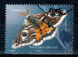 2023 PAPILLON PETIT PAON DE NUIT OBLITERE CACHET ROND #234# - Used Stamps