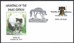 United States, USA, Stati Uniti 2014; Gatto Minaccioso, Menacing Cat; Pines Station In Batsto - Domestic Cats