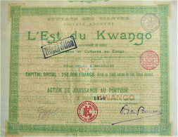 S.A. L'Est Du Kwango - Act.de Jouissance Au Porteur (1899) - Afrique
