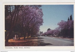 Delcampe - Fixe Zimbabwe Salisbury Harare CPSM Petit Format Non Circulé Excellent état - Simbabwe