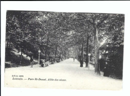 Leuven  Louvain  1909  -  Parc St-Donat .  Allée Des Vieux  DVD 11978 (zegel Verwijderd) - Leuven