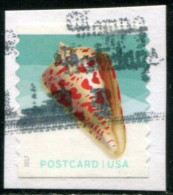 VEREINIGTE STAATEN ETATS UNIS USA 2017 SEASHELLS:ALPHABET CONE SHELL COIL USED ON PAPER SN 5167 MI 5167 YT 4974A SG 5774 - Used Stamps