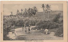 Martinique - Le Cassis Du Galion - Other & Unclassified