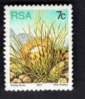 2031832595 1977 SCOTT 481 (XX)  POSTFRIS MINT NEVER HINGED - FLOWERS - Unused Stamps
