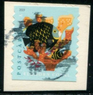 VEREINIGTE STAATEN ETATS UNIS USA 2019 CORALS: ELKHORN  F USED ON PAPER SN 5369 MI 5578BG YT 5198A - Used Stamps
