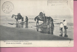 BELGIQUE   Coxyde 1914  PECHE A LA CREVETTE - Autres & Non Classés