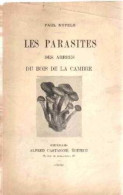 Les Parasites Des Arbres Du Bois De La Cambre - Autres & Non Classés