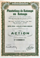 Plantations De Katompé Au Katanga - Congo Belge - 1950 - Afrique