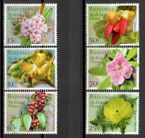 Bahamas 2020 / Flowers Medicinal Plants MNH Blumen Plantas Medicinales Flores Fleurs / Cu19308  C5-25 - Otros & Sin Clasificación