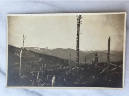 Photo Carte Bios Hilsenfirst Front Munster Alsace - War 1914-18