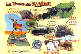 09 - Lapenne - La Ferme Aux Bisons - Multivues - Autres & Non Classés