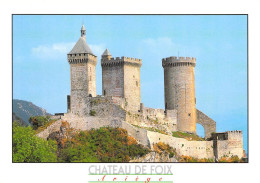 09 - Foix - Vue Sur Le Château - Foix