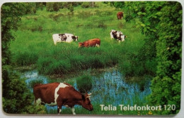 Sweden 120Mk. Chip Card - Landscape With Cows - Suecia