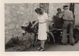 Photo Vintage Paris Snap Shop -femme Women âne Donkey - Autres & Non Classés