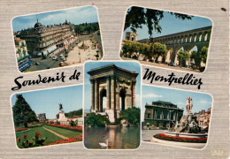 MONTPELLIER - Souvenir De MONTPELLIER - Montpellier