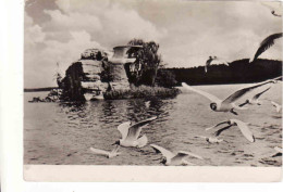 Czech Republic, Máchovo Jezero, Doksy, Ostruvek Myšlin, Okres Česká Lípa, Used 1956 - Tchéquie