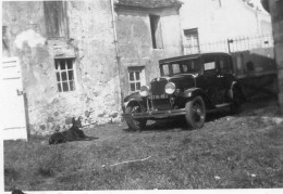 Photographie Photo Vintage Snapshot Chien Dog Voiture Car SEUGY - Automobile