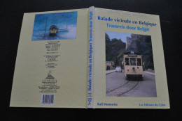 Balade Vicinale En Belgique Tramreis Door Belgie 1950 1975 Editions Du Cabri Collection Images Ferroviaires NMVB SNCV - Ferrocarril & Tranvías