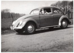 VW Brezel Käfer - Cars
